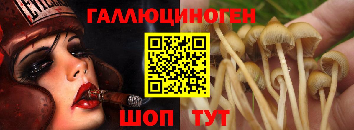 Галлюциногенные грибы Psilocybe  Вход с VPN  где купить   Астрахань  Галлюциногенные грибы мицелий 